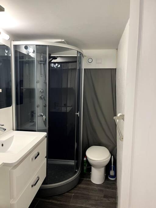 Appartement Climatise Albi - Centre Екстериор снимка